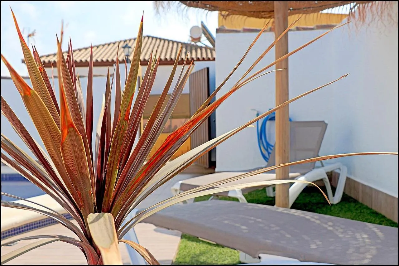 Casa vacanze Chalet Muelle Pesquero II Conil De La Frontera